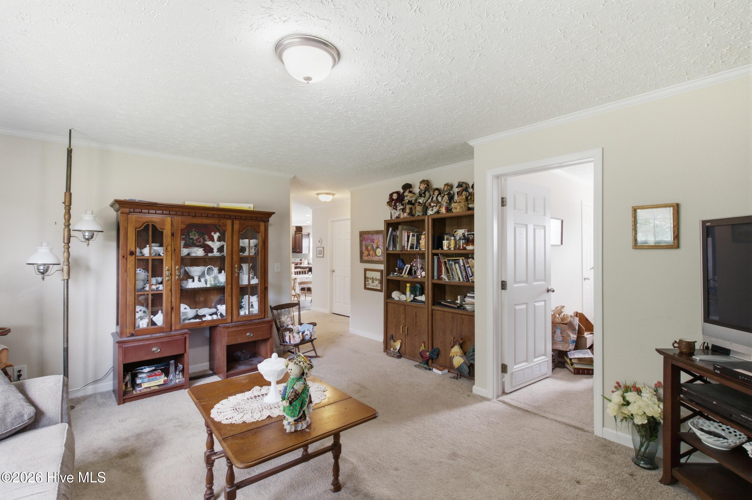 1230 Beech Springs Road Property Photo 20