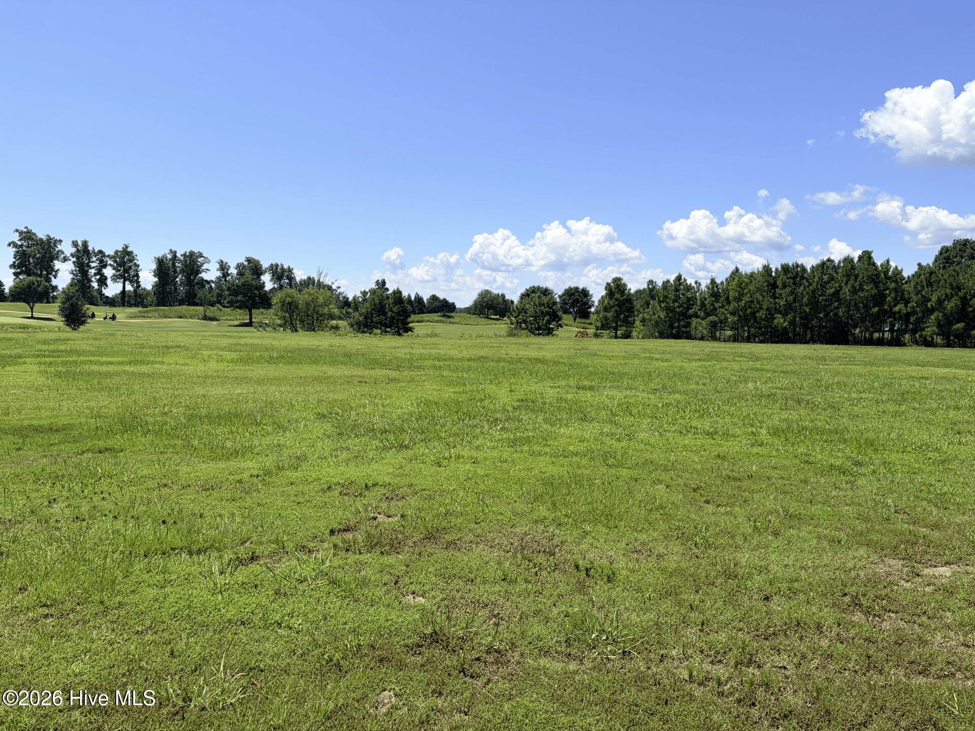 132 62 E Royal Way Property Photo 1