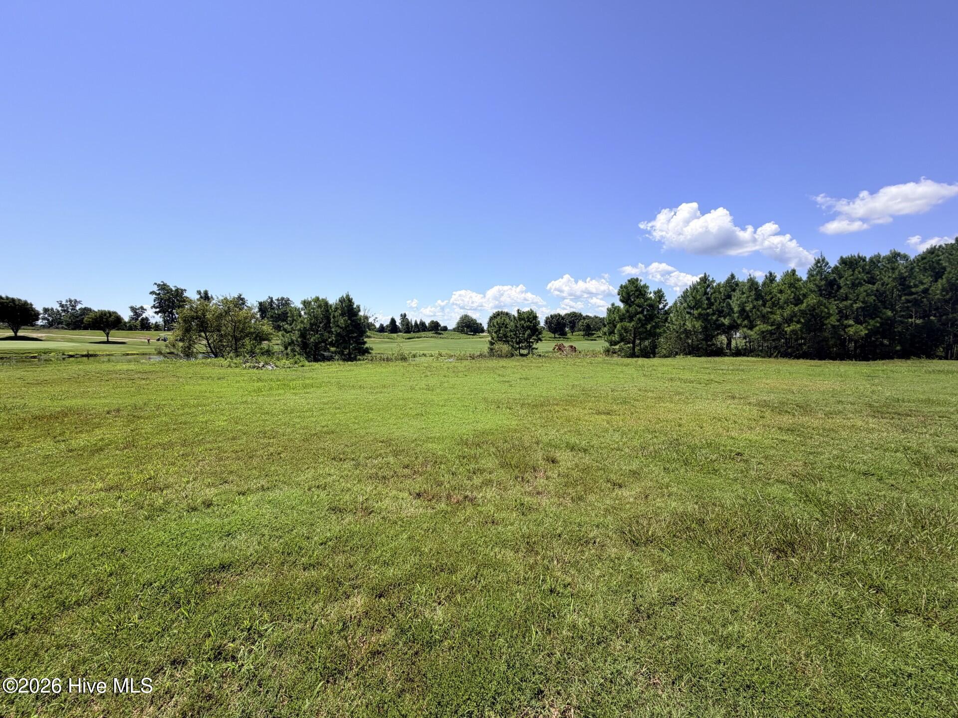 132 62 E Royal Way Property Photo 2