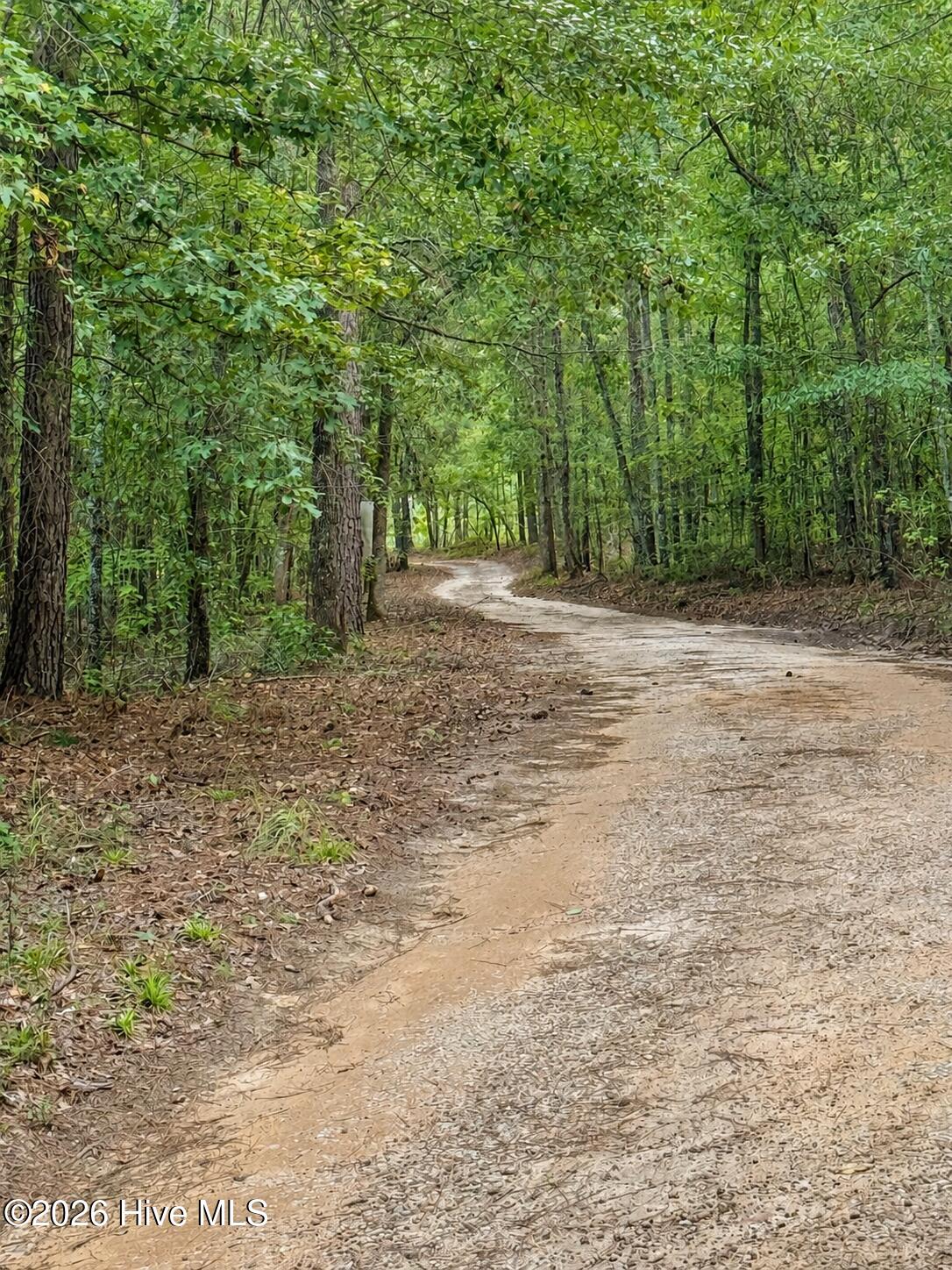 2171 Gene Howard Road Property Photo 33
