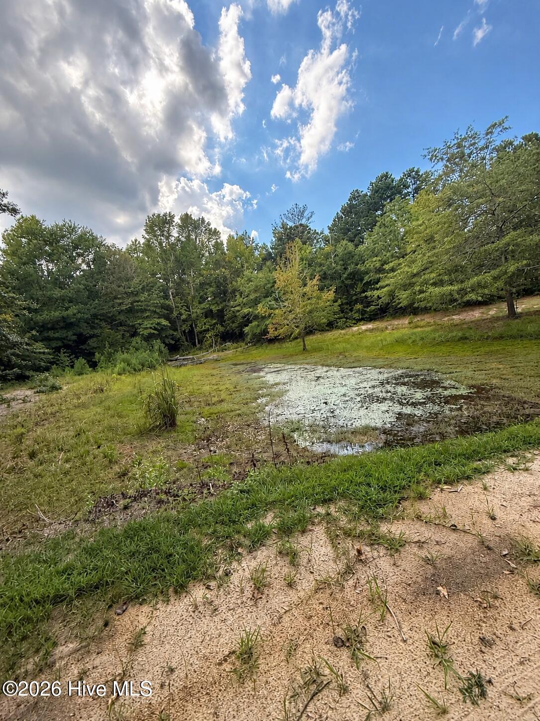 2171 Gene Howard Road Property Photo 35