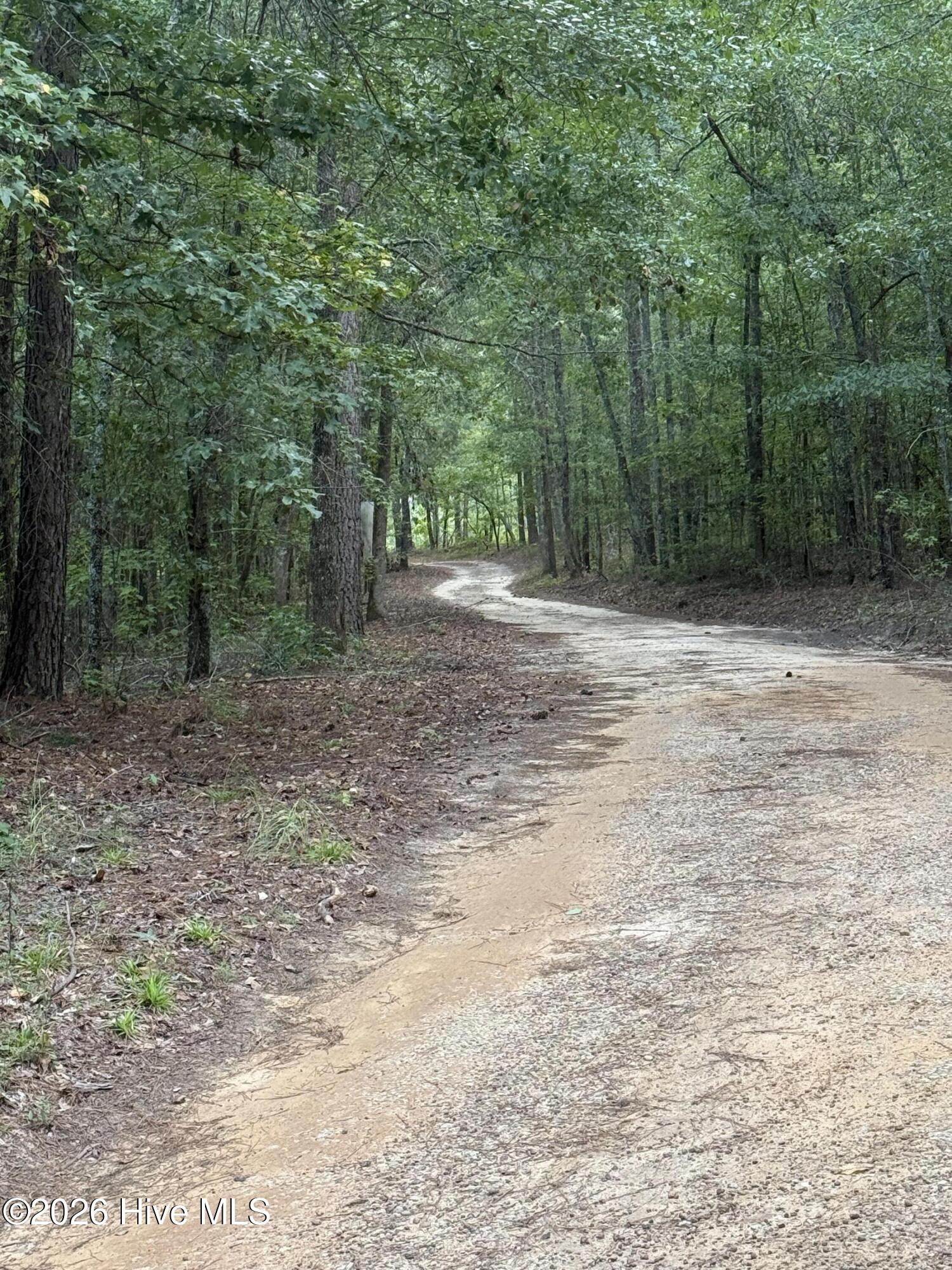 2171 Gene Howard Road Property Photo 52