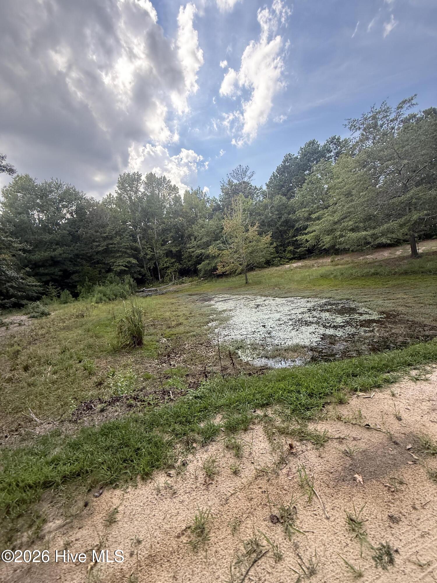 2171 Gene Howard Road Property Photo 53