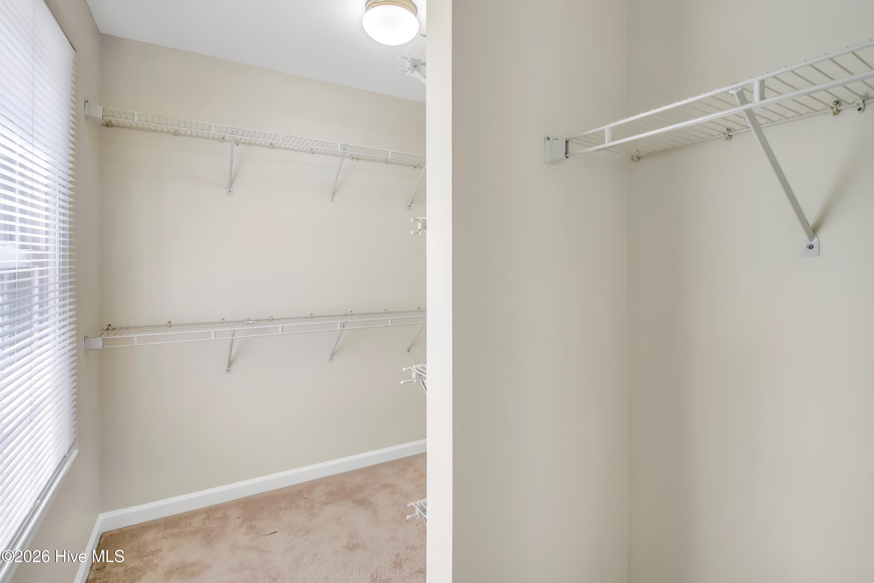 501 Wythe Grove Property Photo 30