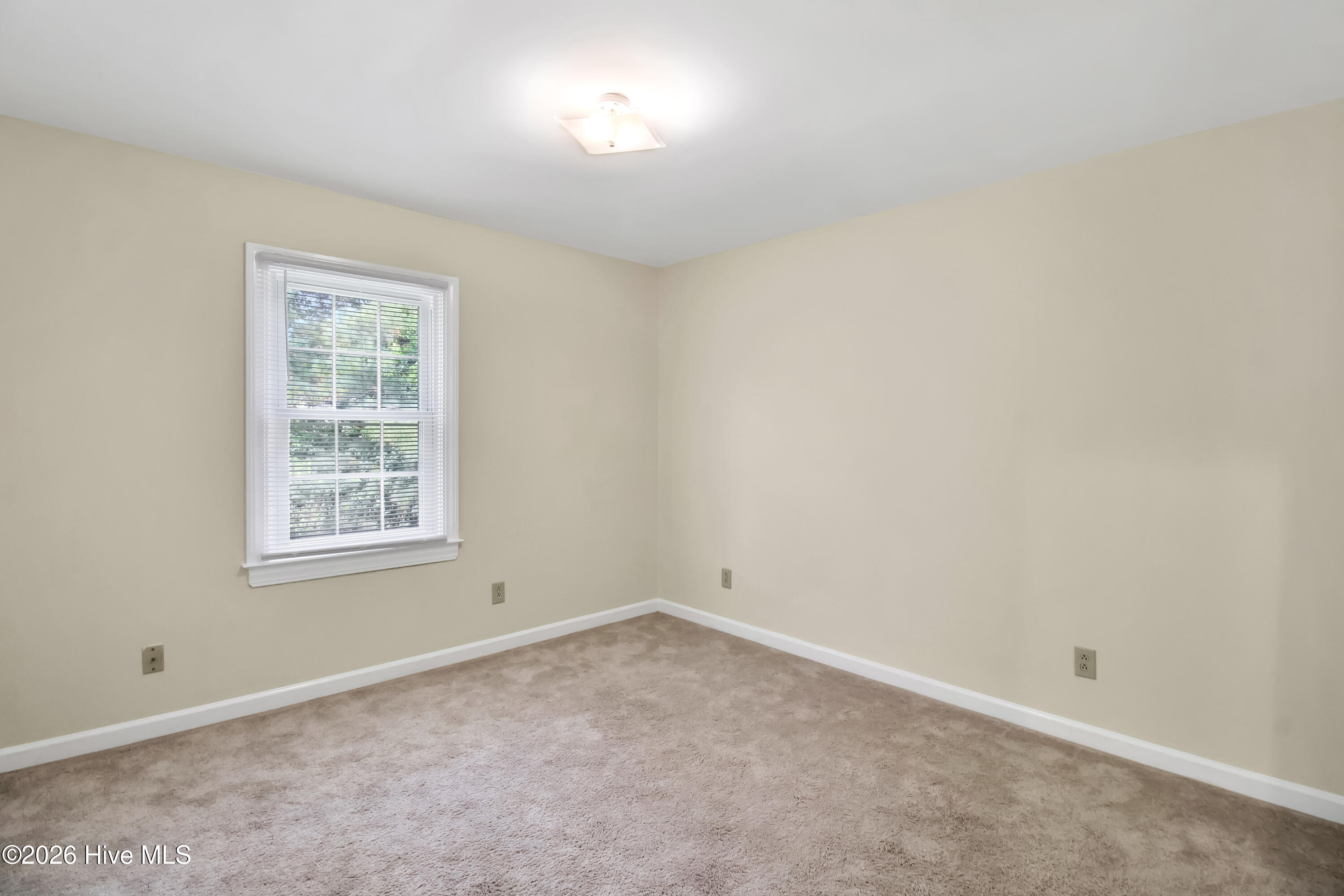 501 Wythe Grove Property Photo 36