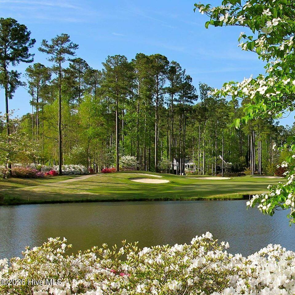 101 Pamlico Place Property Photo 49