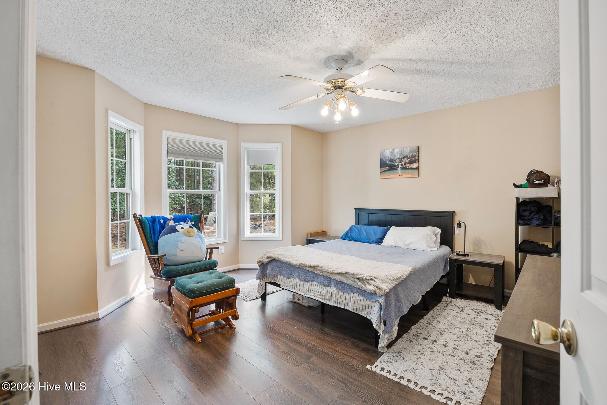 515 Holly Grove School Road Property Photo 13