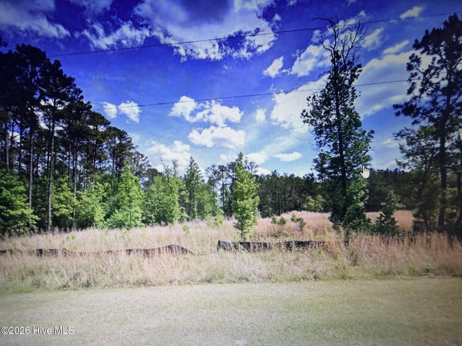 1019 Eagles Nest Trail Property Photo 1