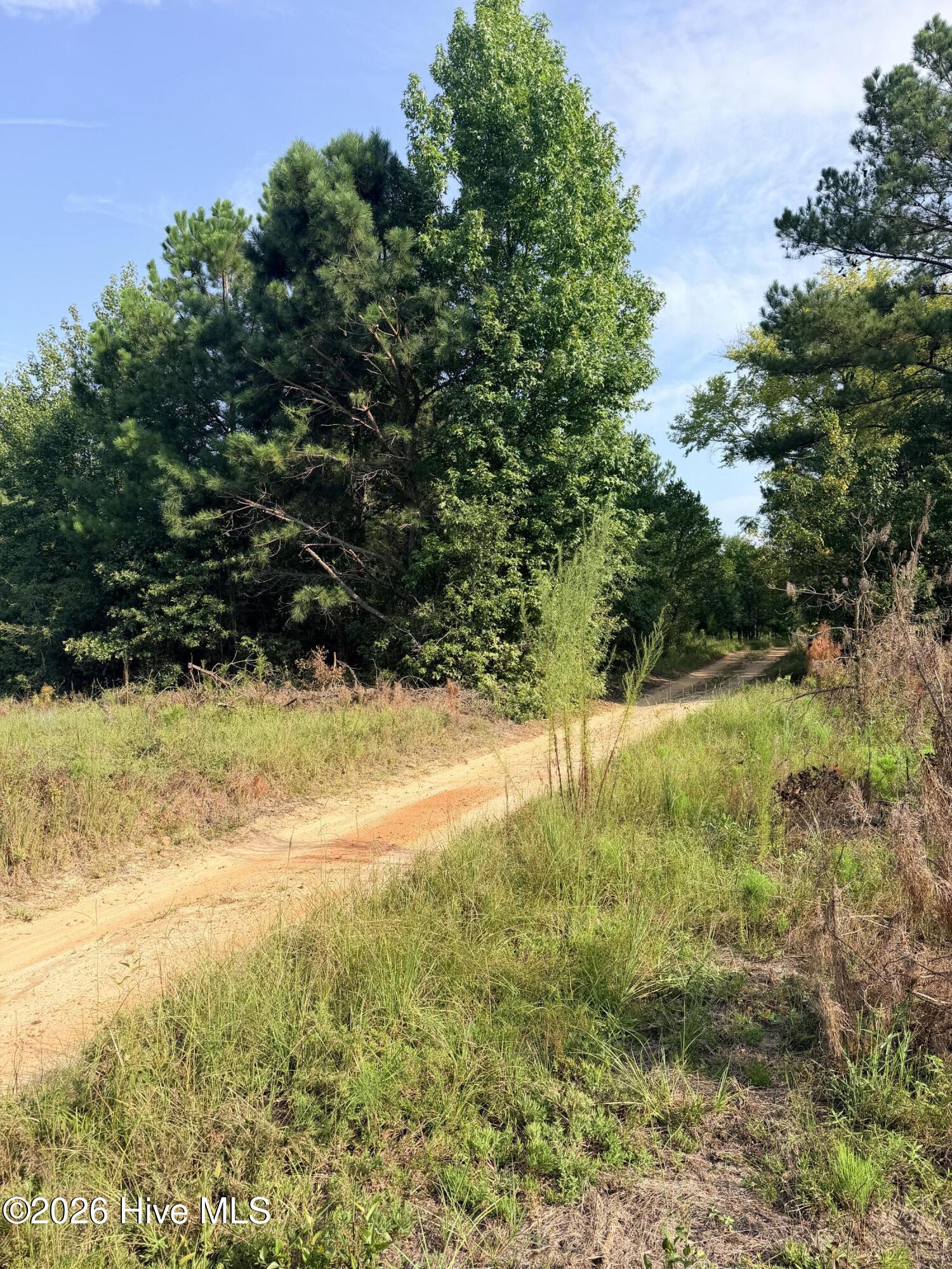 141 Autumn Chase Lane Property Photo 2
