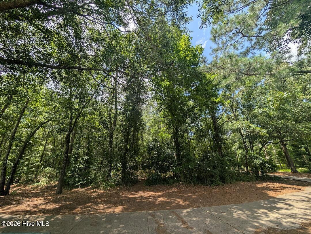 289 River Ridge Drive Property Photo 8