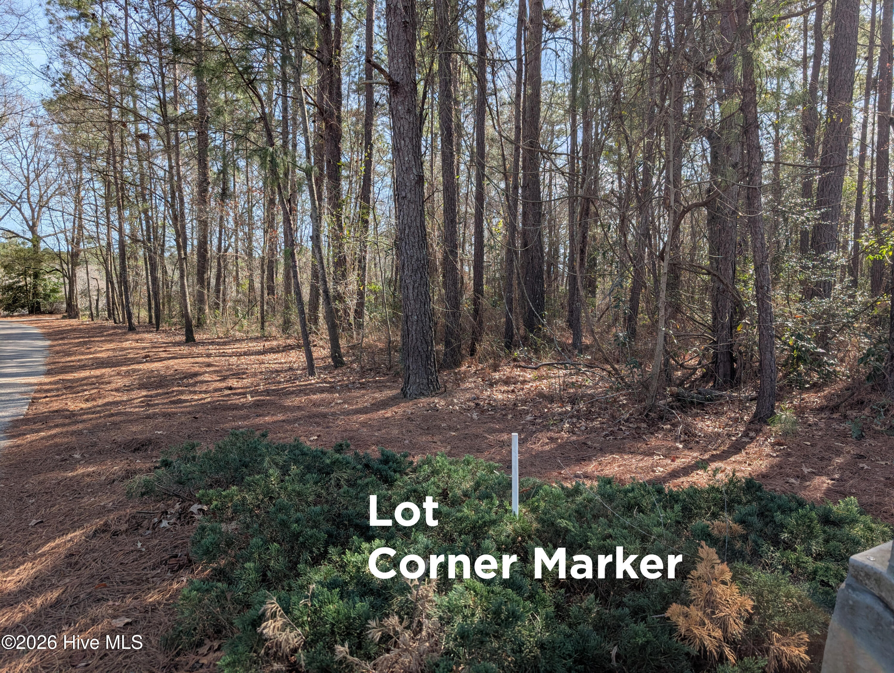 289 River Ridge Drive Property Photo 10