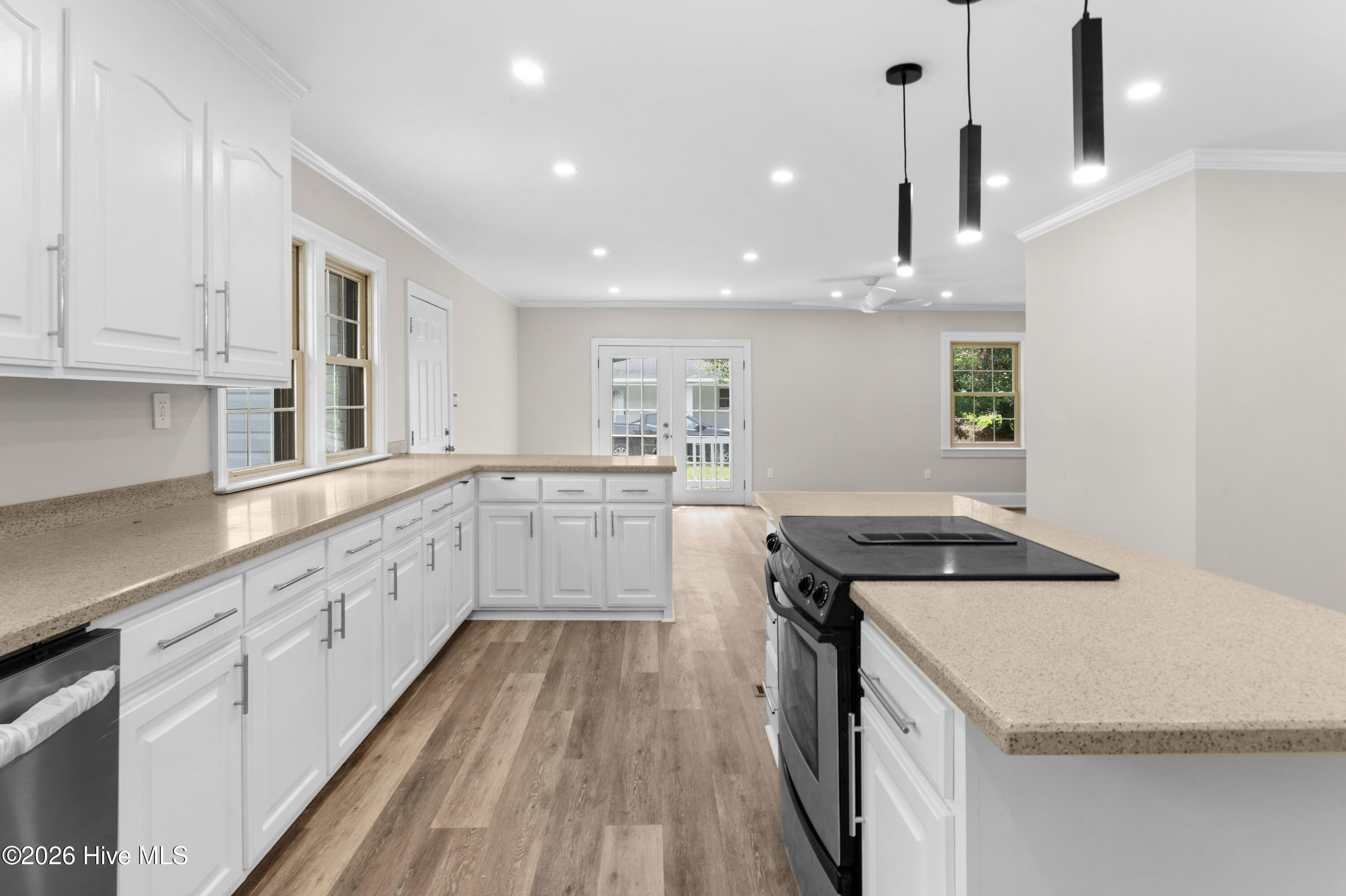 533 W College Street Property Photo 16