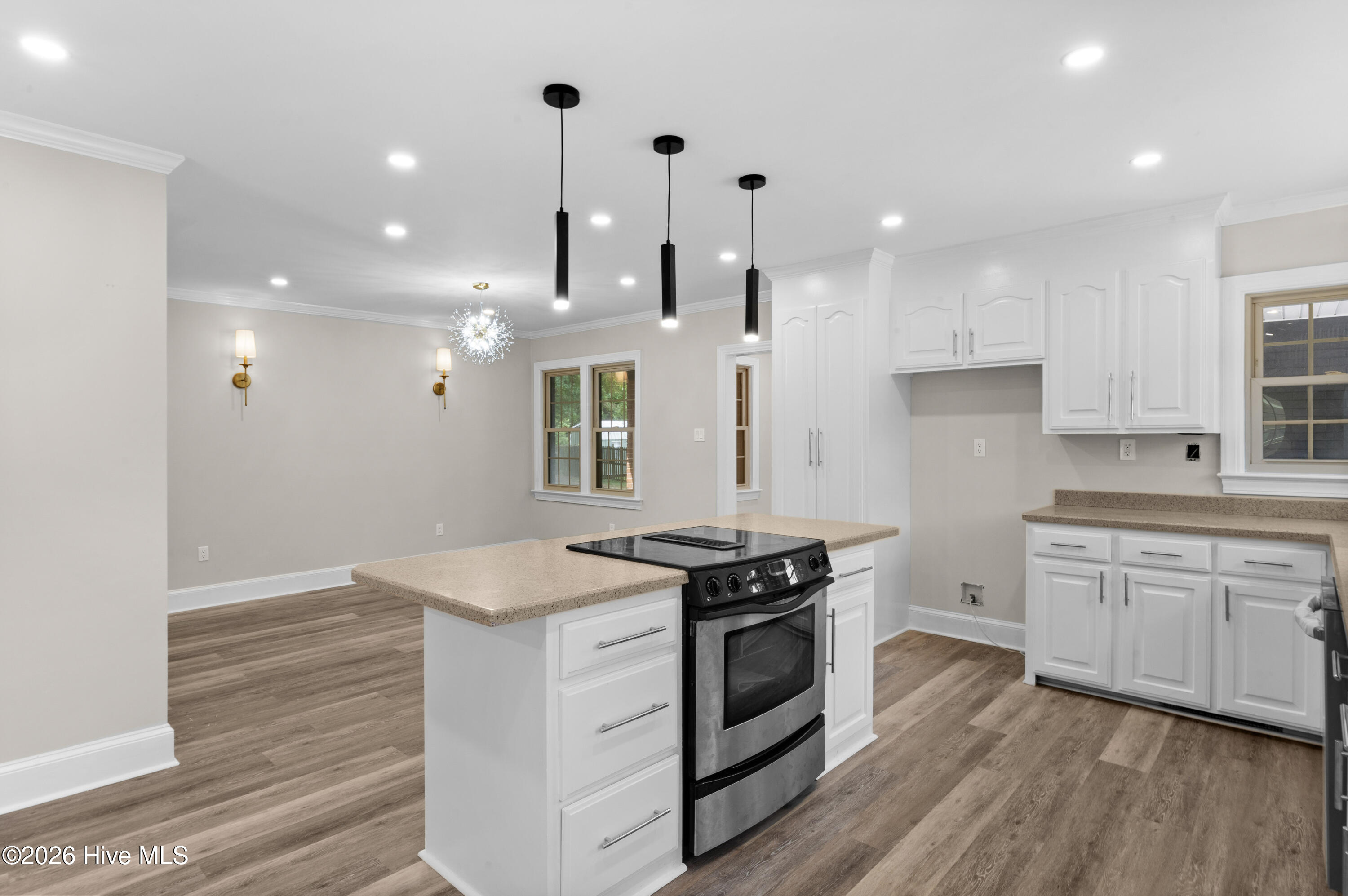 533 W College Street Property Photo 18