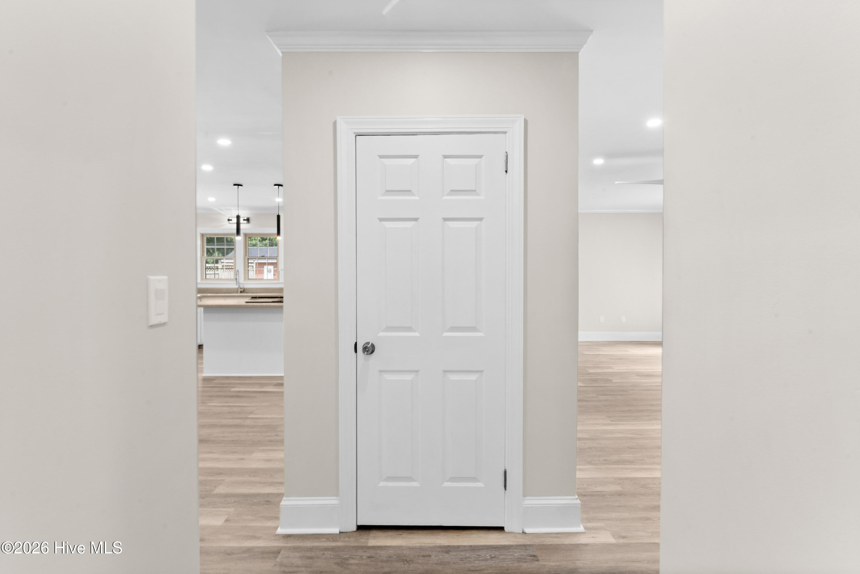 533 W College Street Property Photo 21