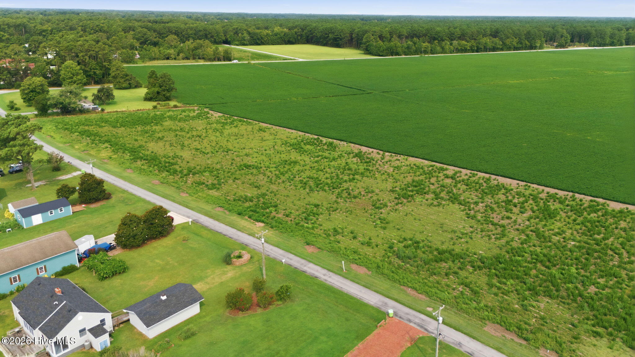 229 (lot 5) China Grove Road Property Photo 6