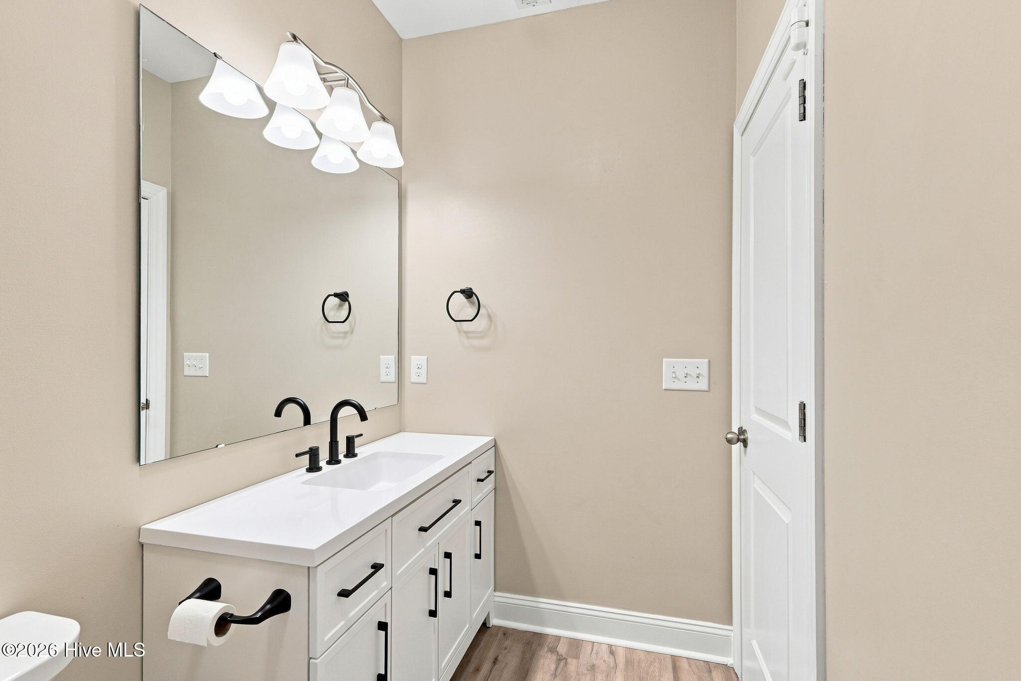 215 Spoonbill Court Property Photo 42