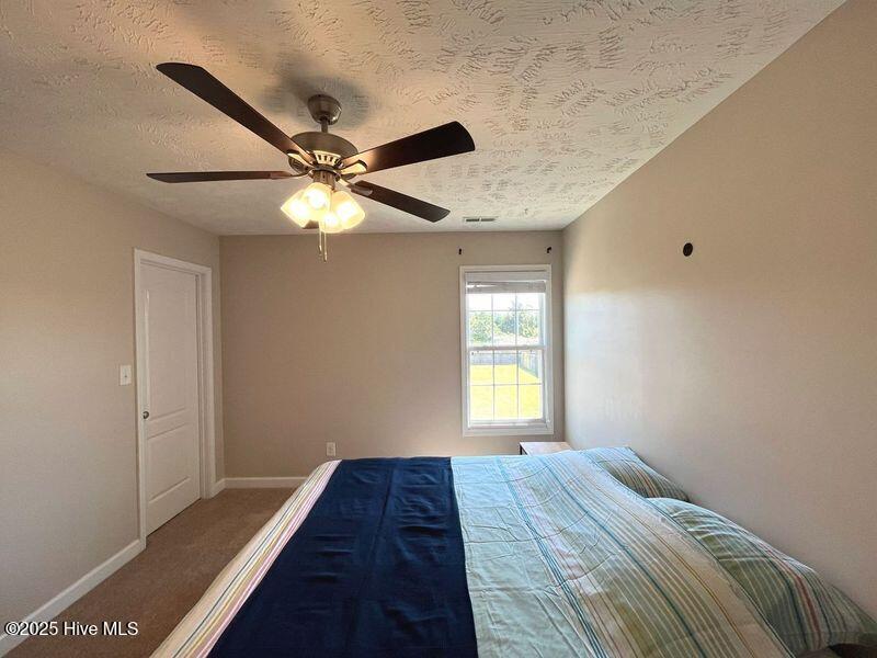 229 Chamberlin Boulevard Property Photo 33