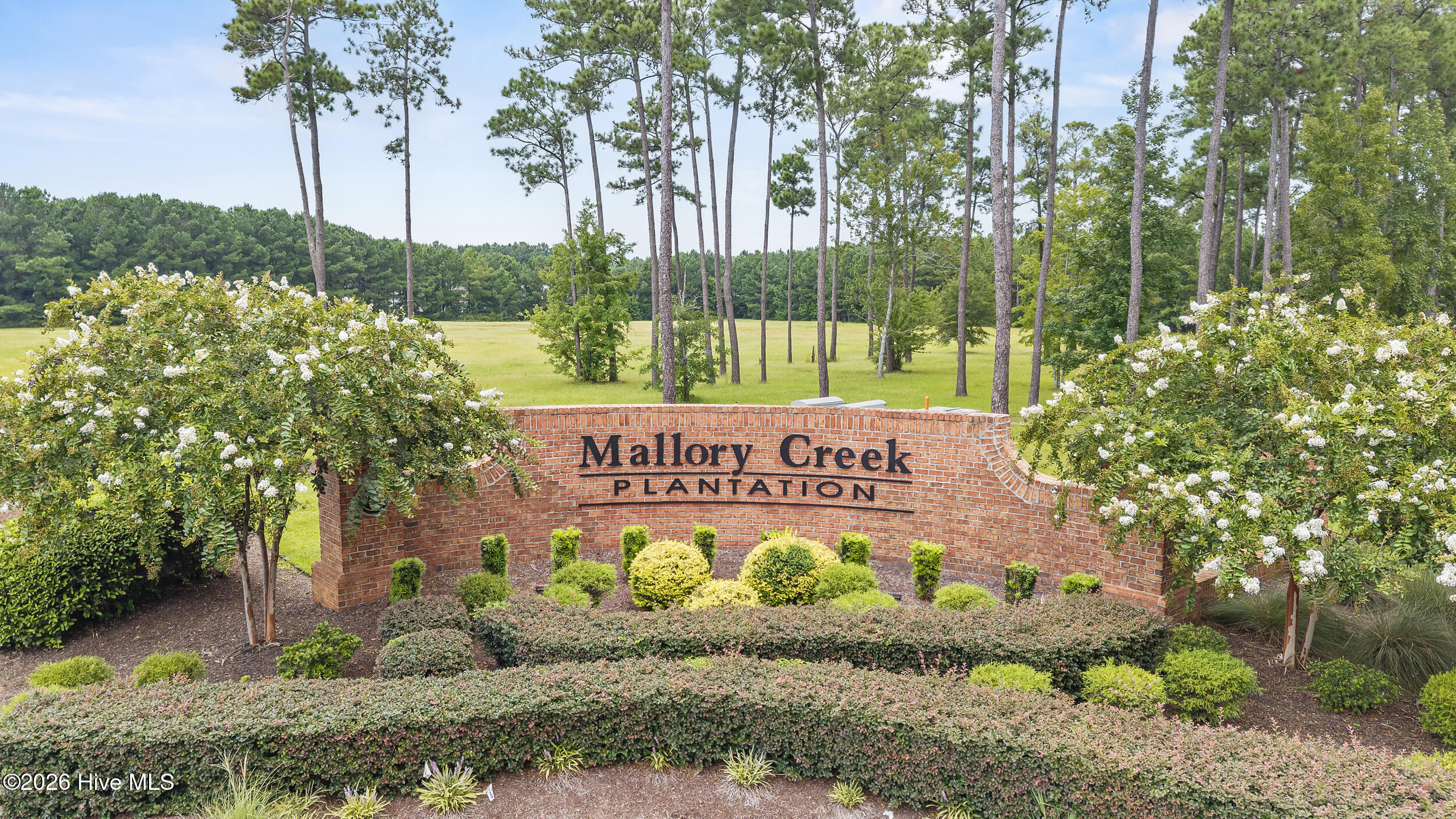 9633 Large Oak Court Property Photo 2
