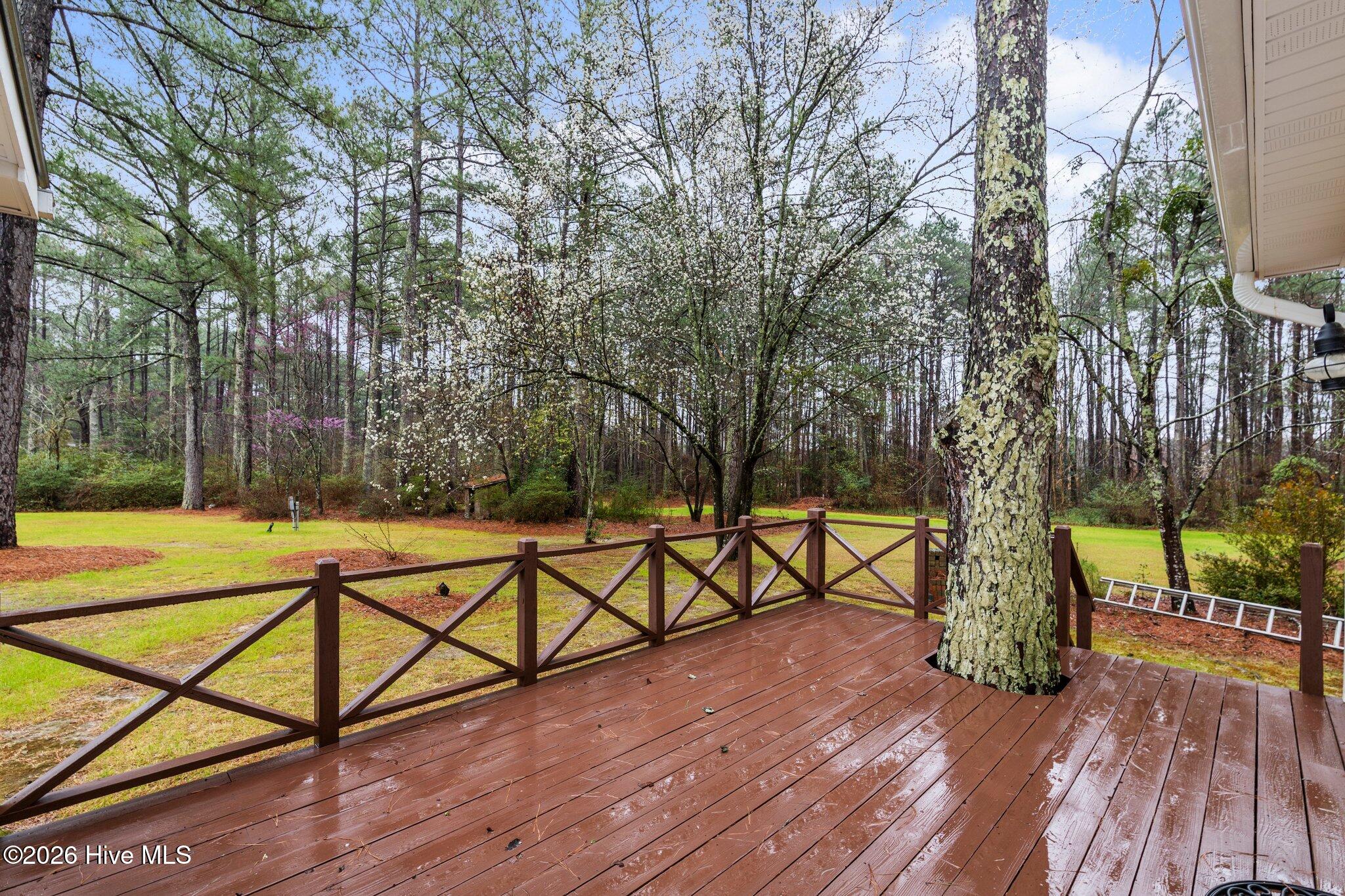 449 Brinkley Road Property Photo 7