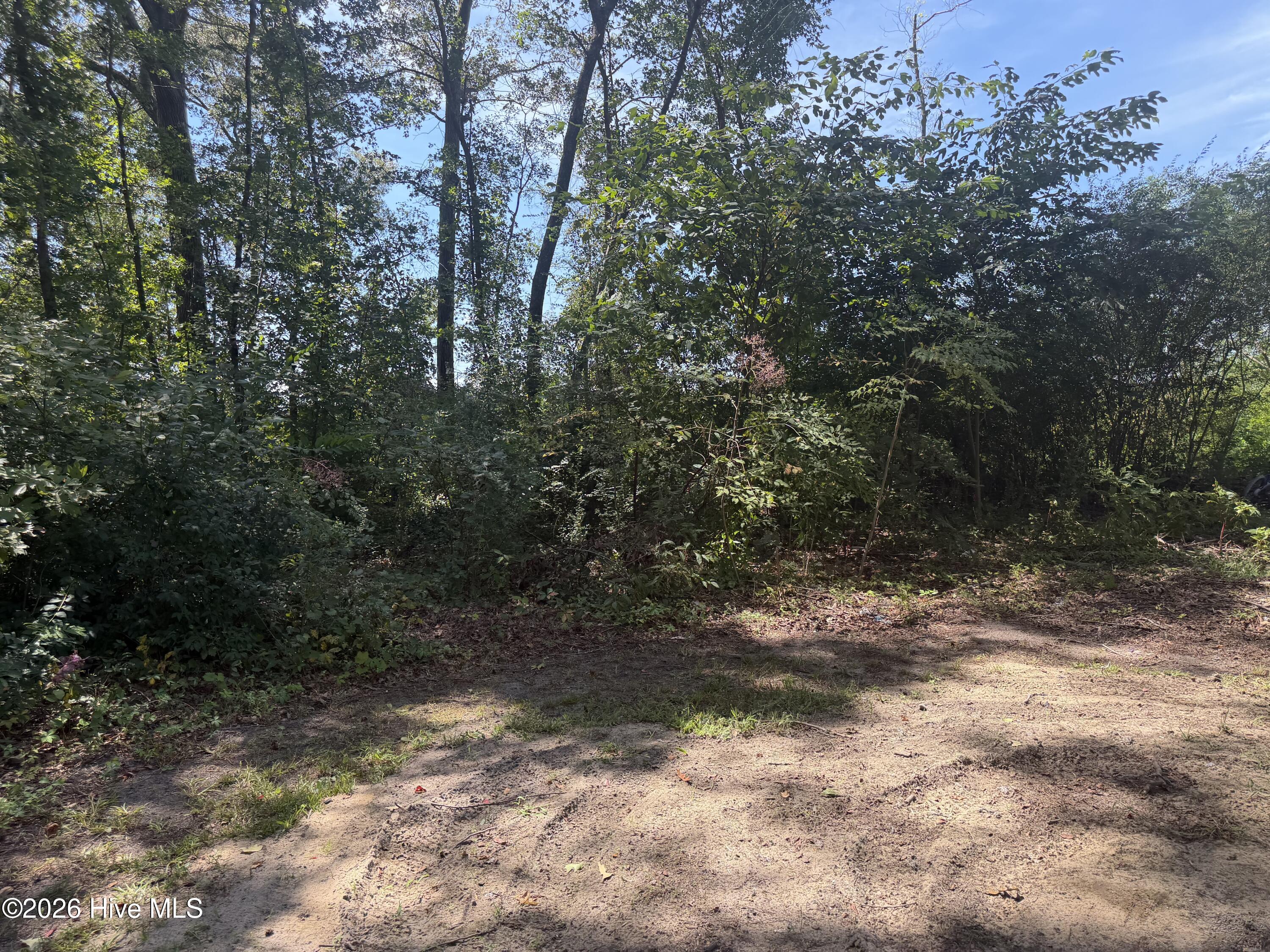 314 Factory Street Property Photo 6