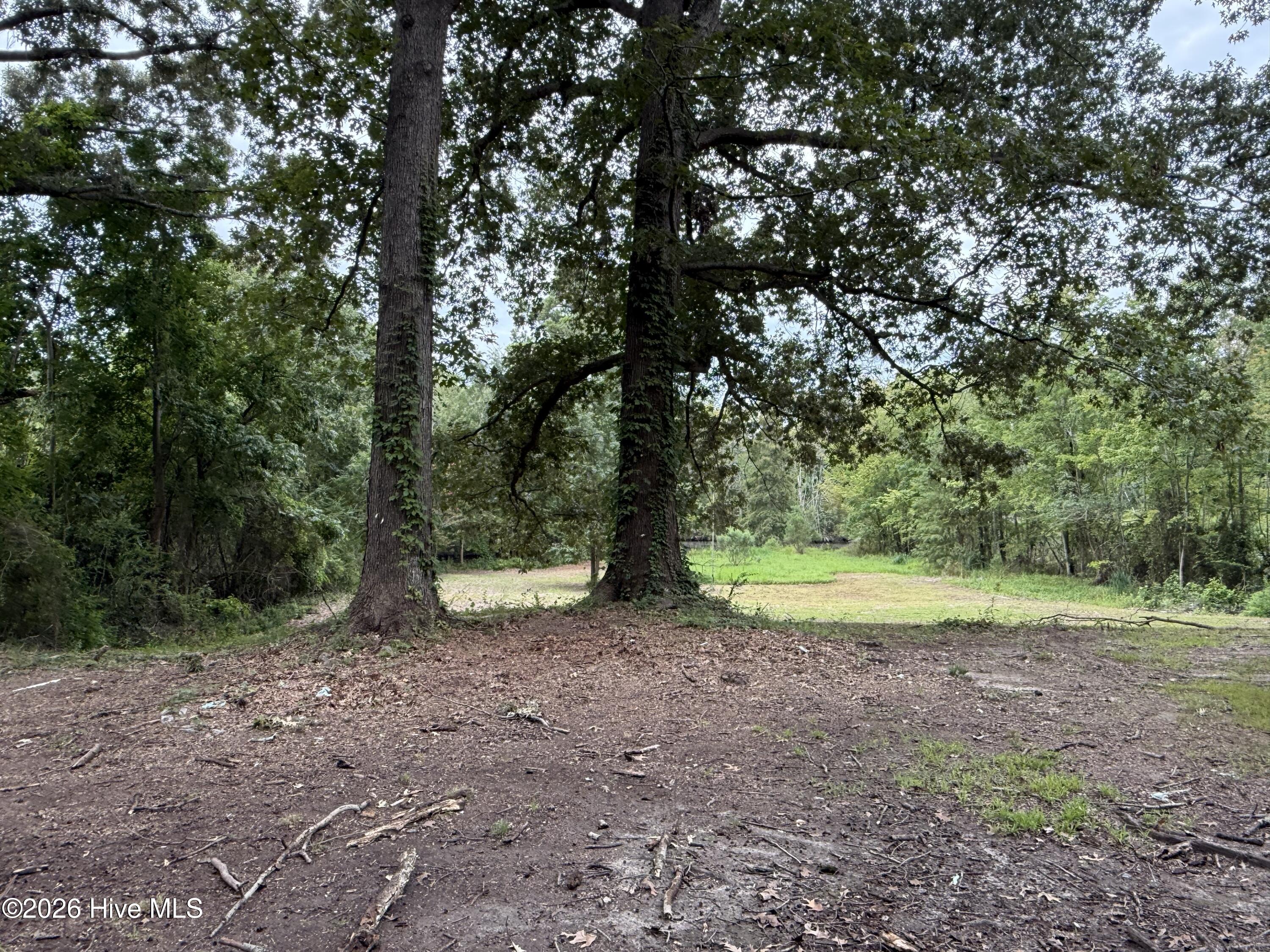 423 Dogwood Drive Property Photo 23