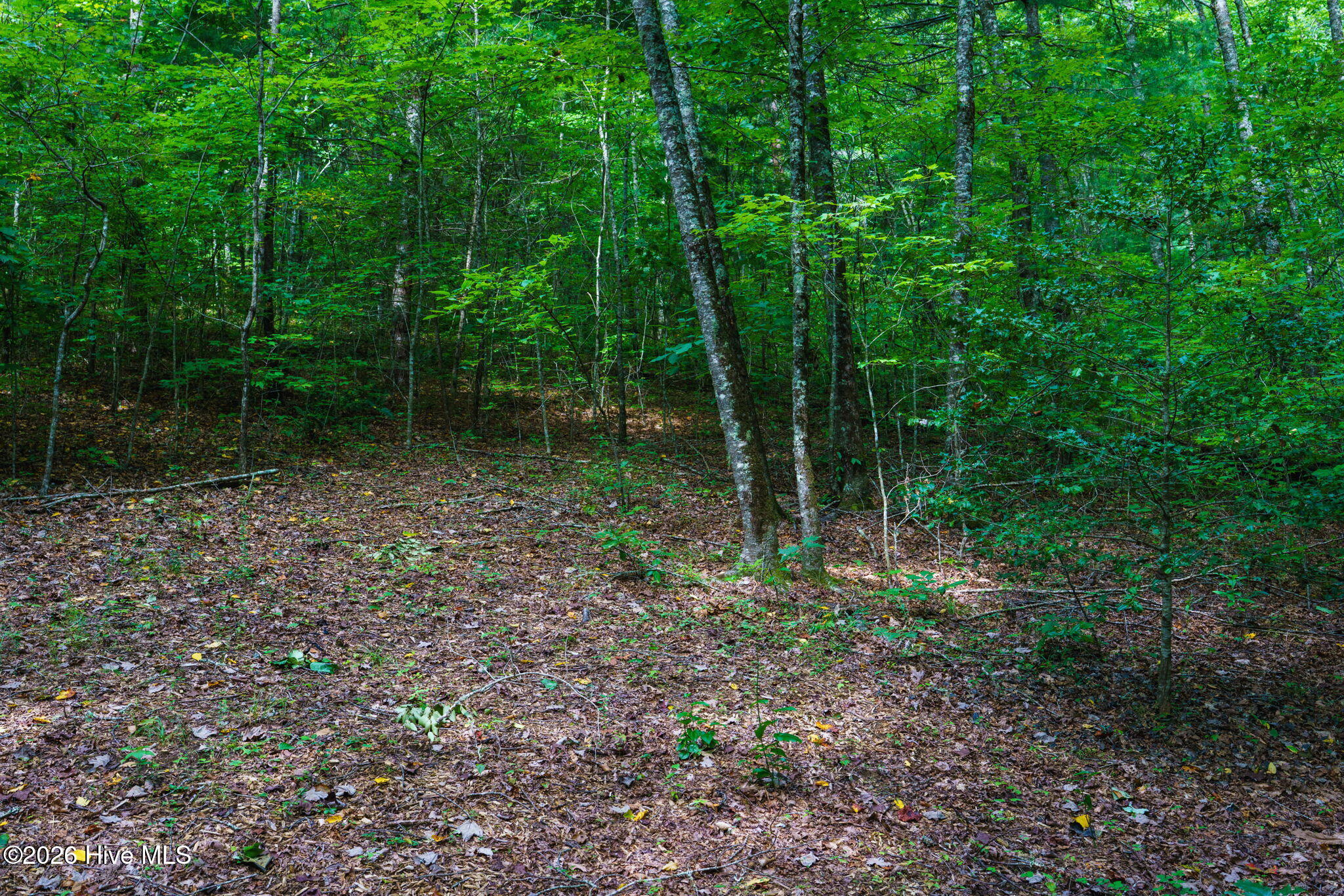 71 Craig Farm Road Property Photo 6