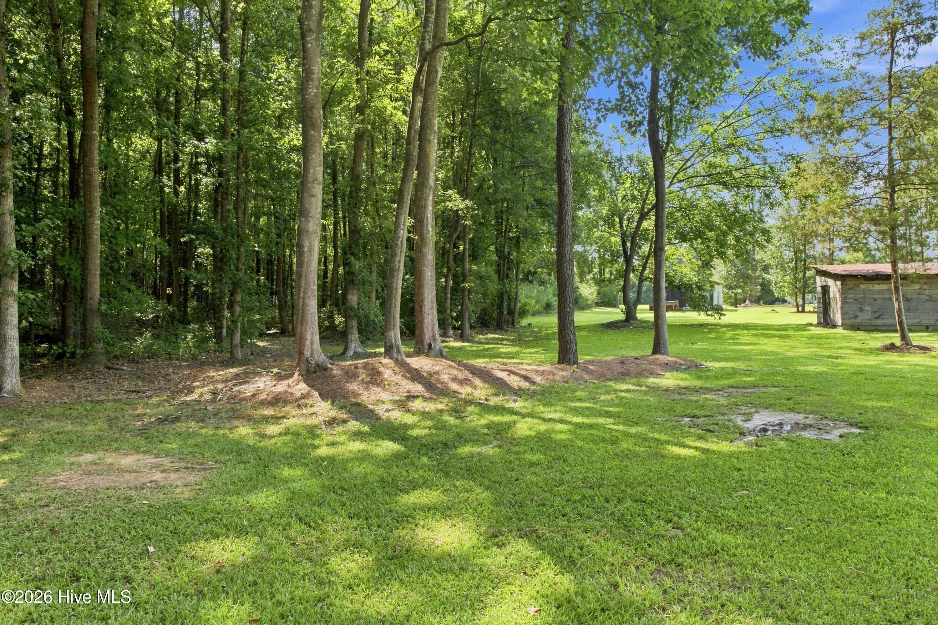 107 Ray Farmer Road Property Photo 33