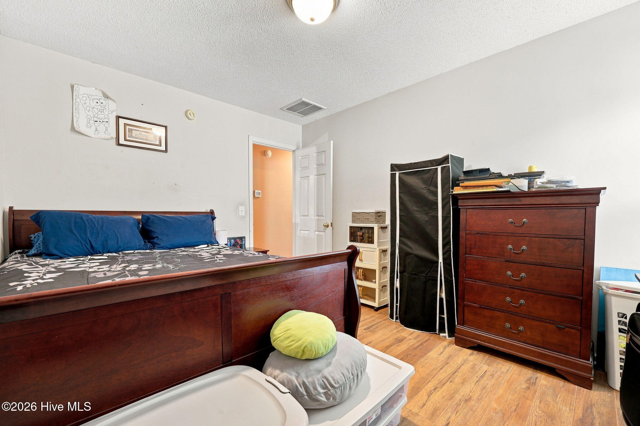 311 Fleming Street Property Photo 24