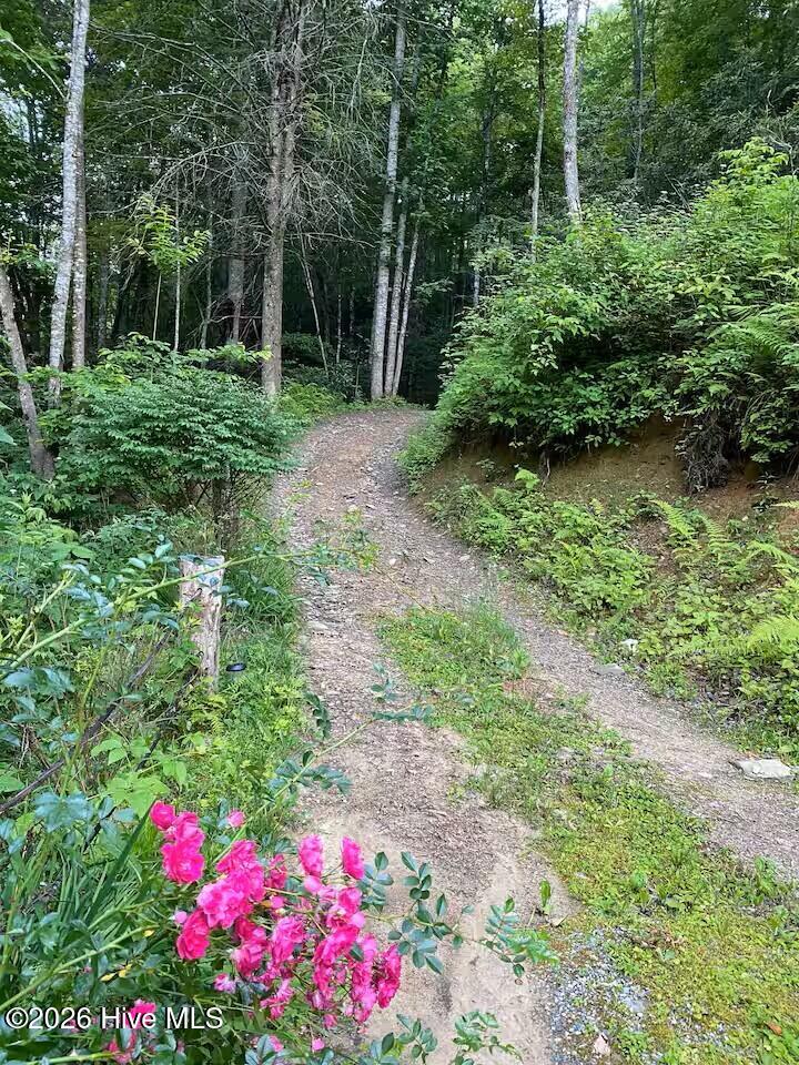 00 Amber Lane Property Photo 2
