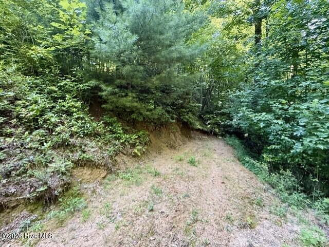 00 Amber Lane Property Photo 10
