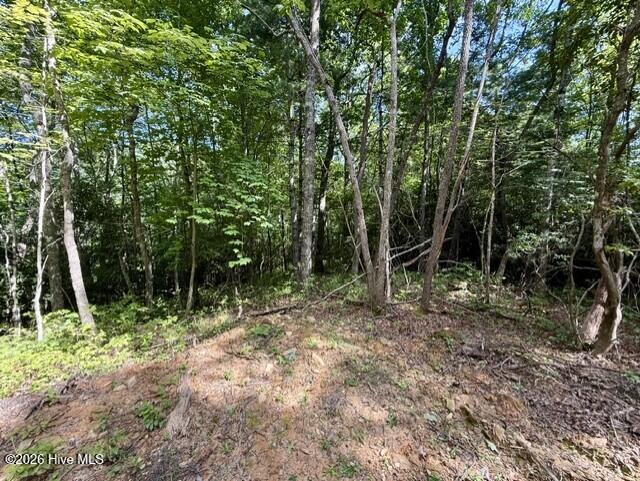 00 Amber Lane Property Photo 23