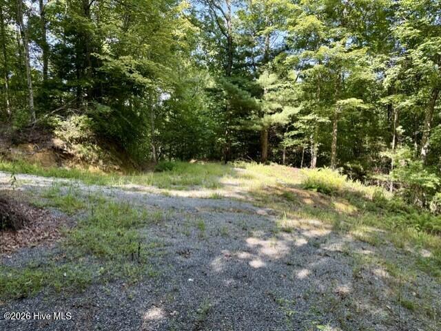 00 Amber Lane Property Photo 24