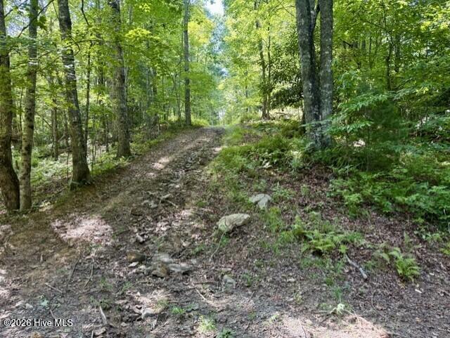 00 Amber Lane Property Photo 28