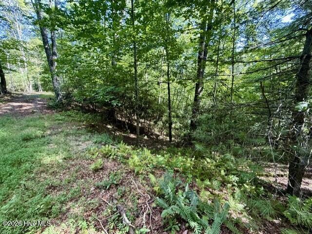 00 Amber Lane Property Photo 29