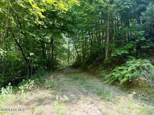 00 Amber Lane Property Photo 30