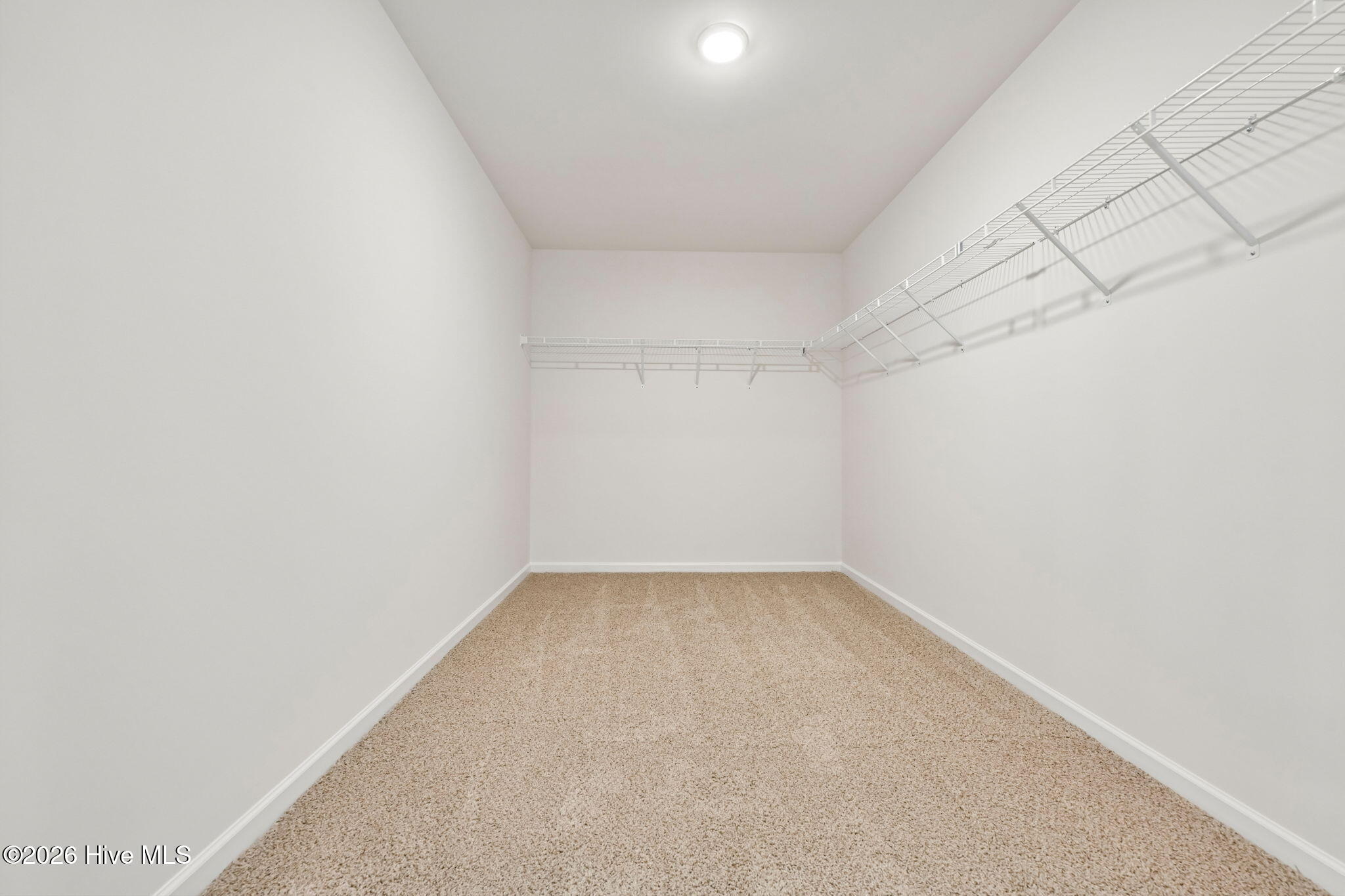 100 Franklin Landing Property Photo 42