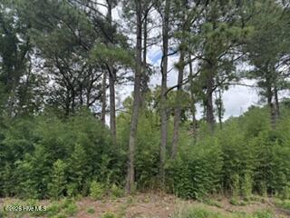 1298 3 Moores Chapel Road Property Photo 2