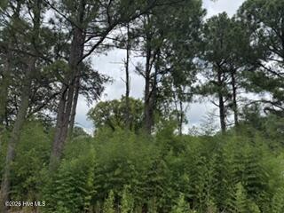 1298 3 Moores Chapel Road Property Photo 3