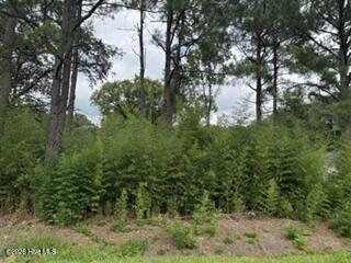 1298 3 Moores Chapel Road Property Photo 4