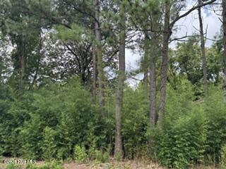 1298 3 Moores Chapel Road Property Photo 5
