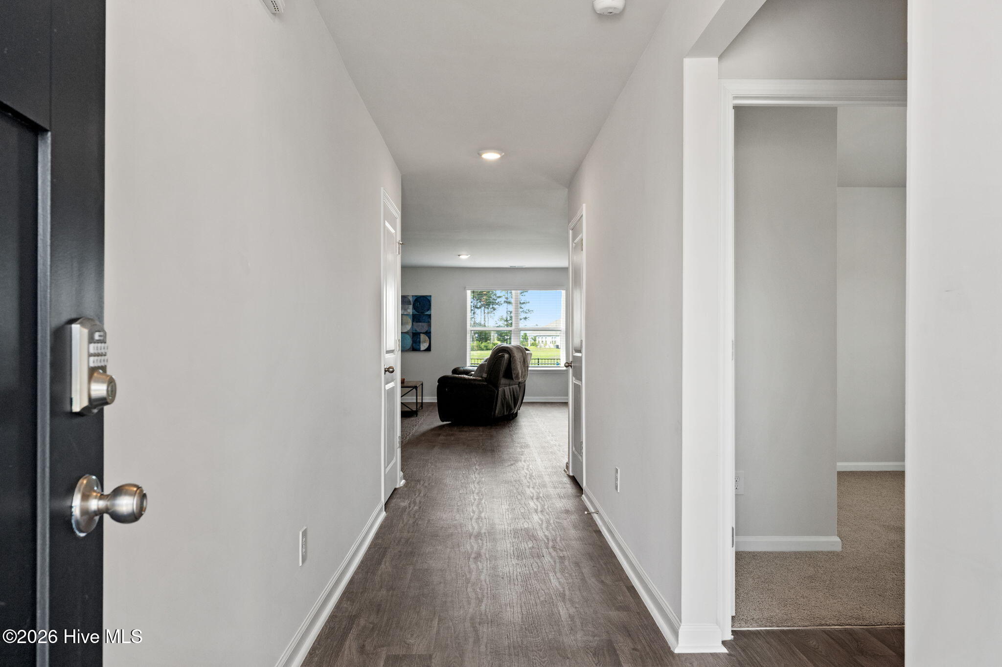 3858 Lady Bug Drive Property Photo 3