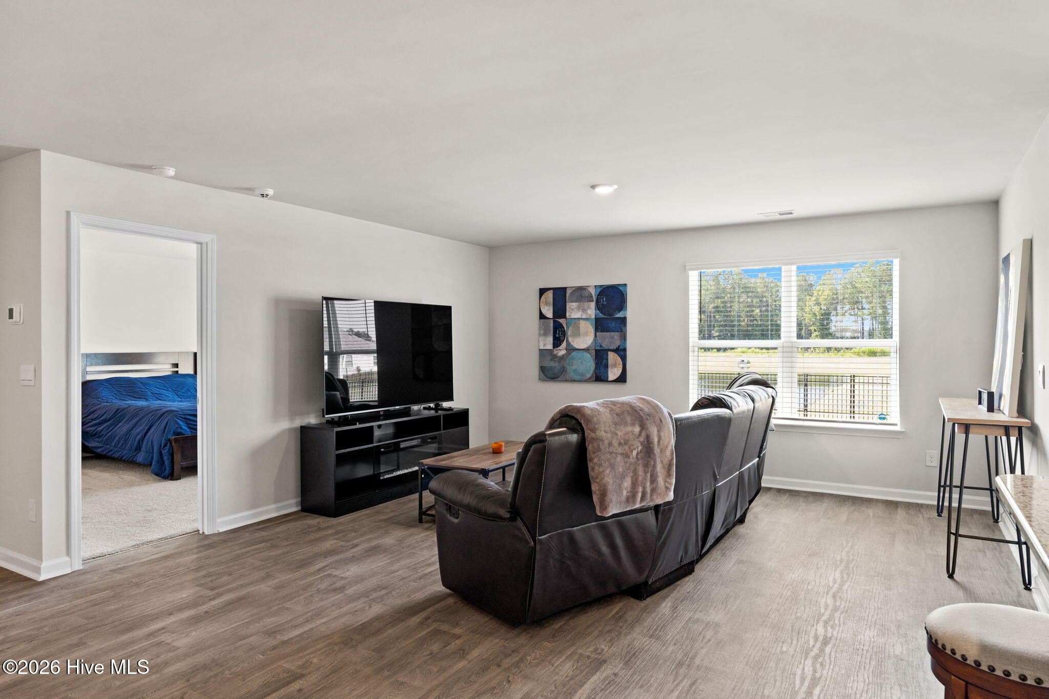 3858 Lady Bug Drive Property Photo 4