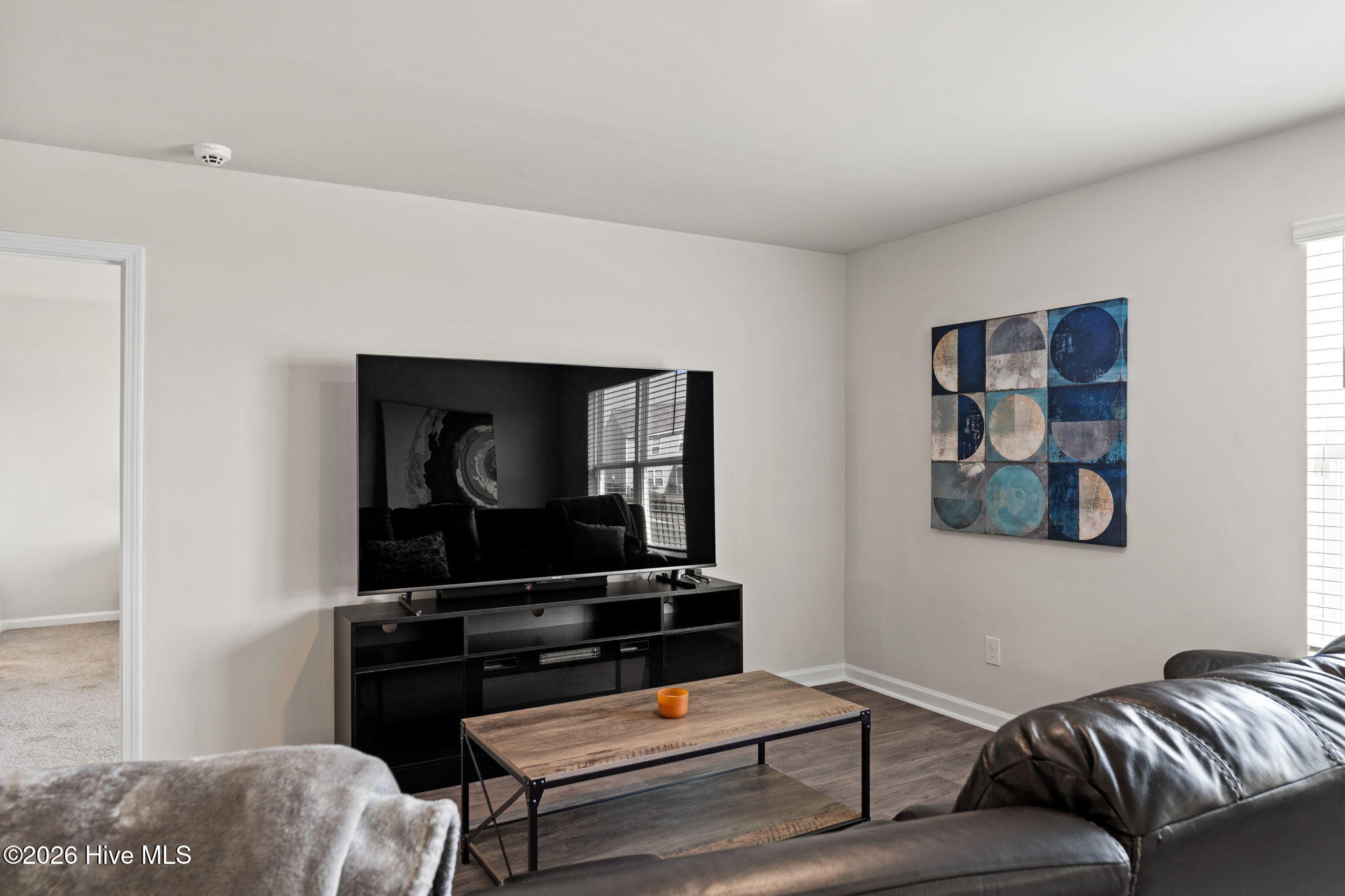 3858 Lady Bug Drive Property Photo 6