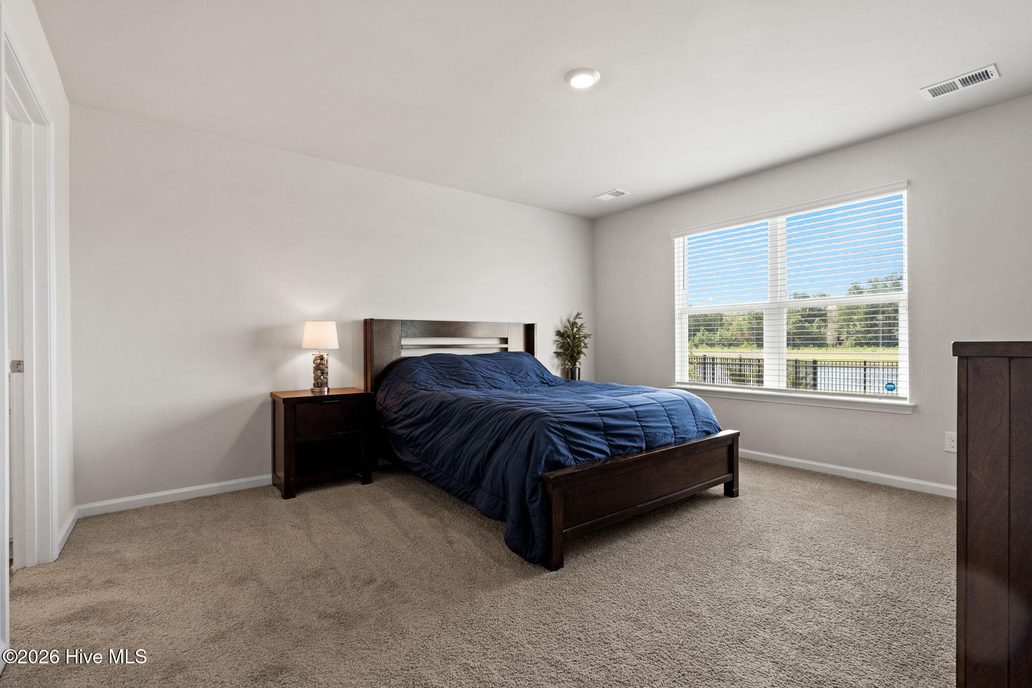 3858 Lady Bug Drive Property Photo 17