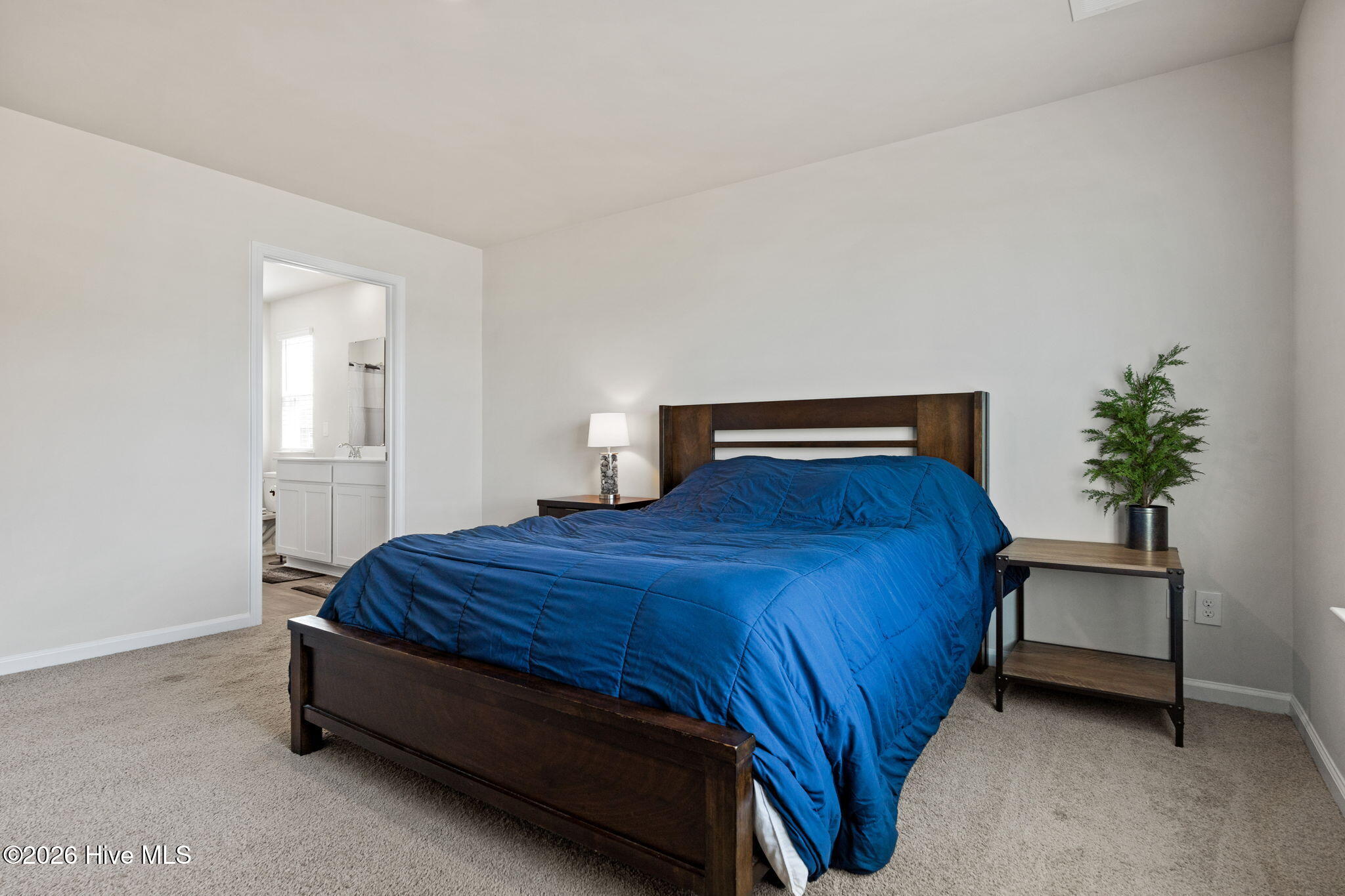 3858 Lady Bug Drive Property Photo 19
