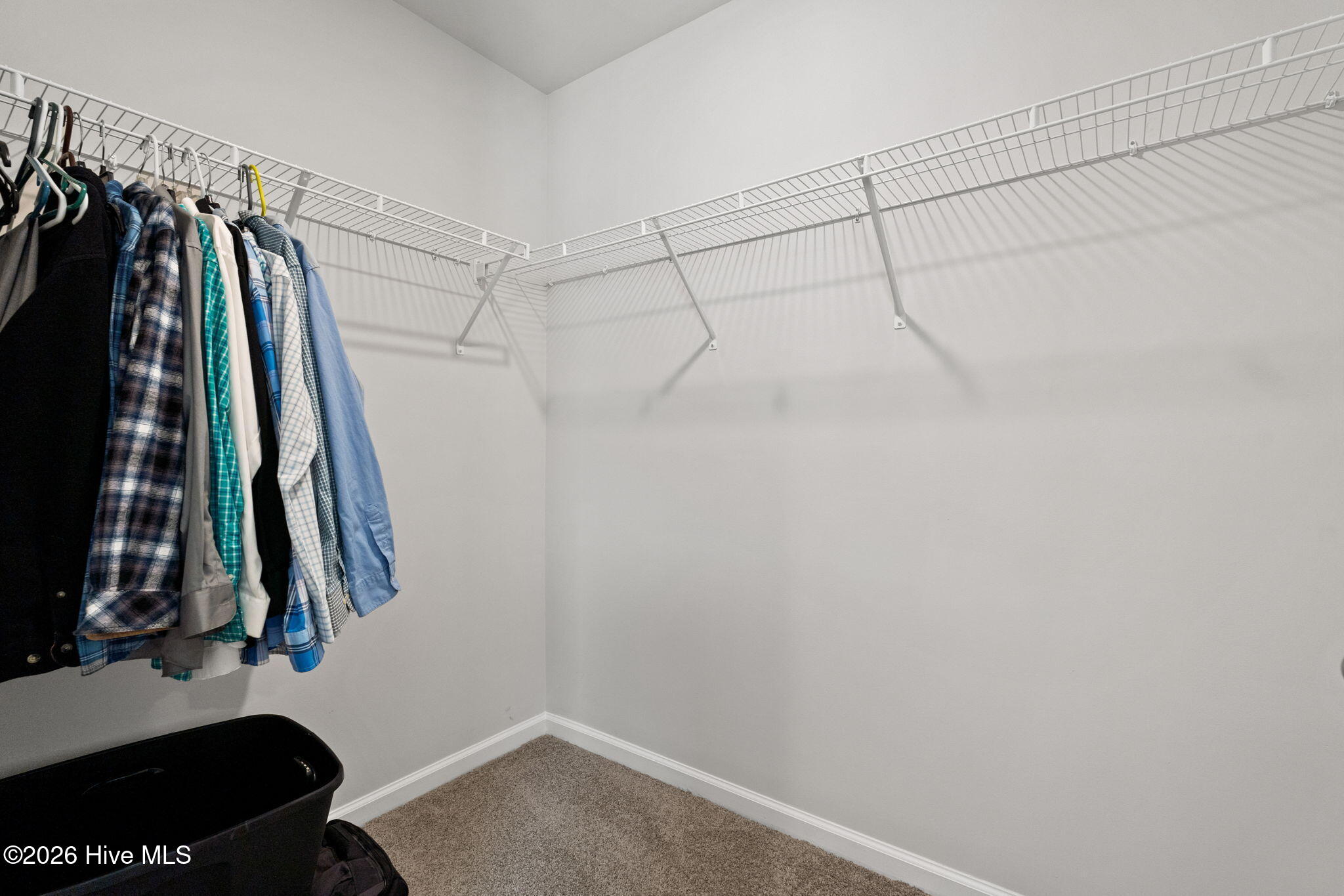 3858 Lady Bug Drive Property Photo 22