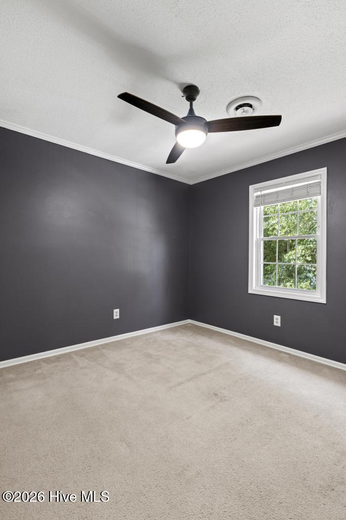 1100 Westmoreland Drive Property Photo 39