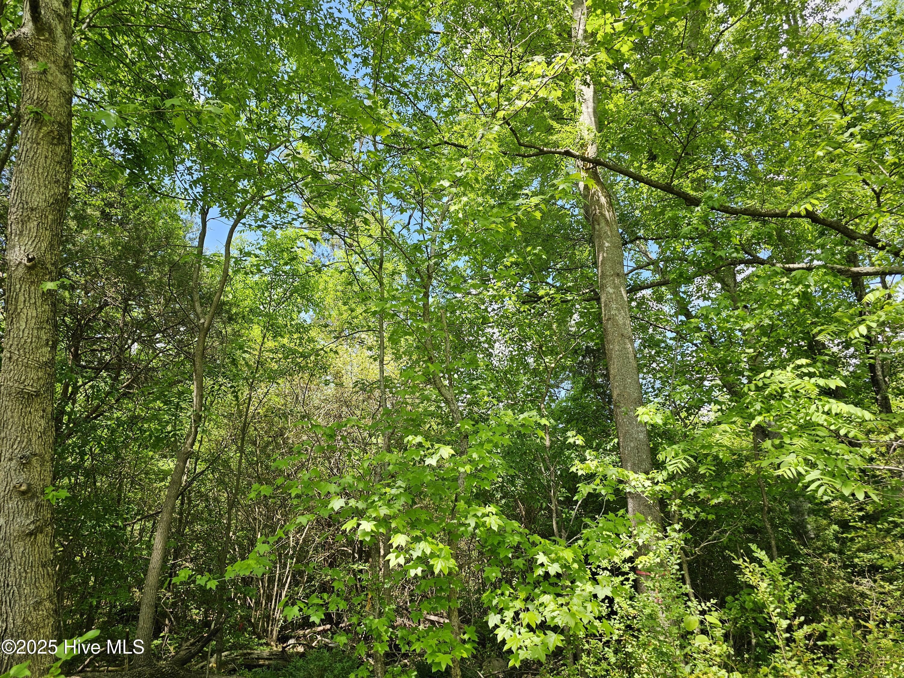 00 Alert Road Property Photo 14