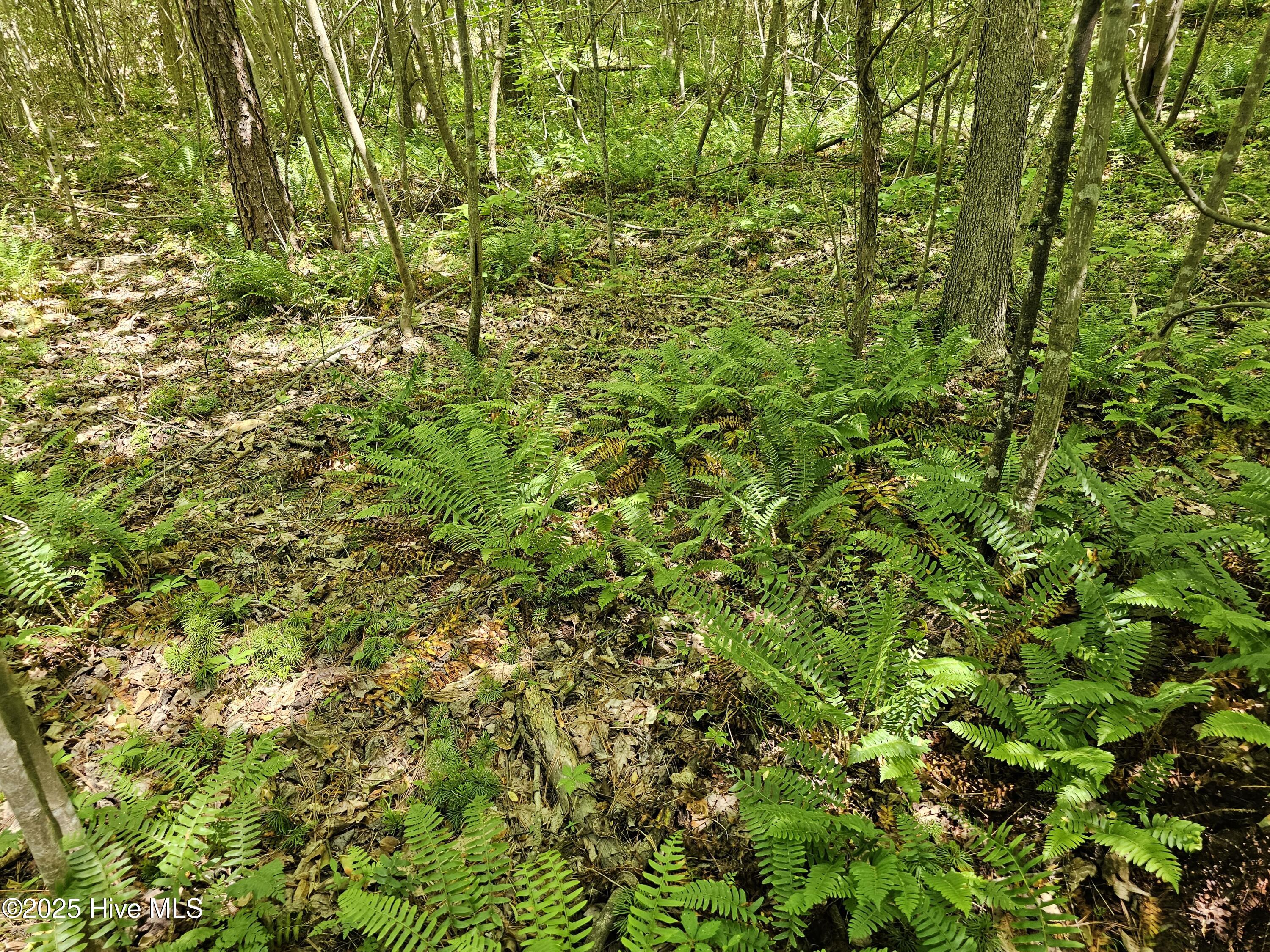 00 Alert Road Property Photo 15