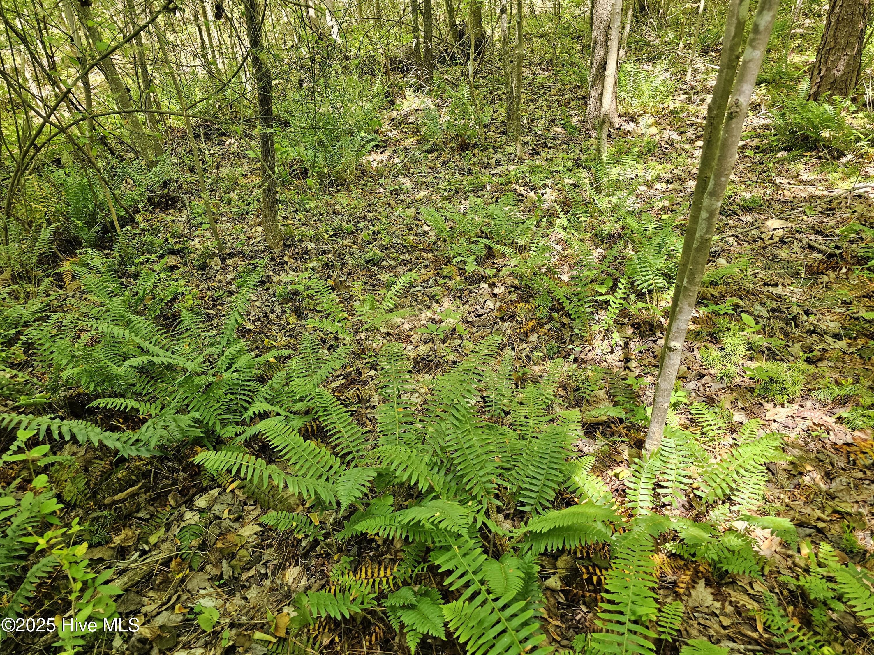 00 Alert Road Property Photo 16